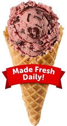 Download Chocolate Ice Cream Ball Scoop PNG  Ice cream waffle cone,  Blueberry ice cream, Chocolate ice cream cone