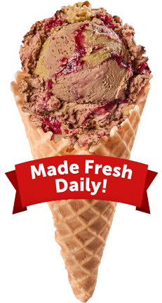 Scoop of Chocolate Raspberry Cheesecake with Graham Ice Cream